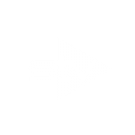piyp_stv_trans